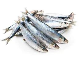 sardines