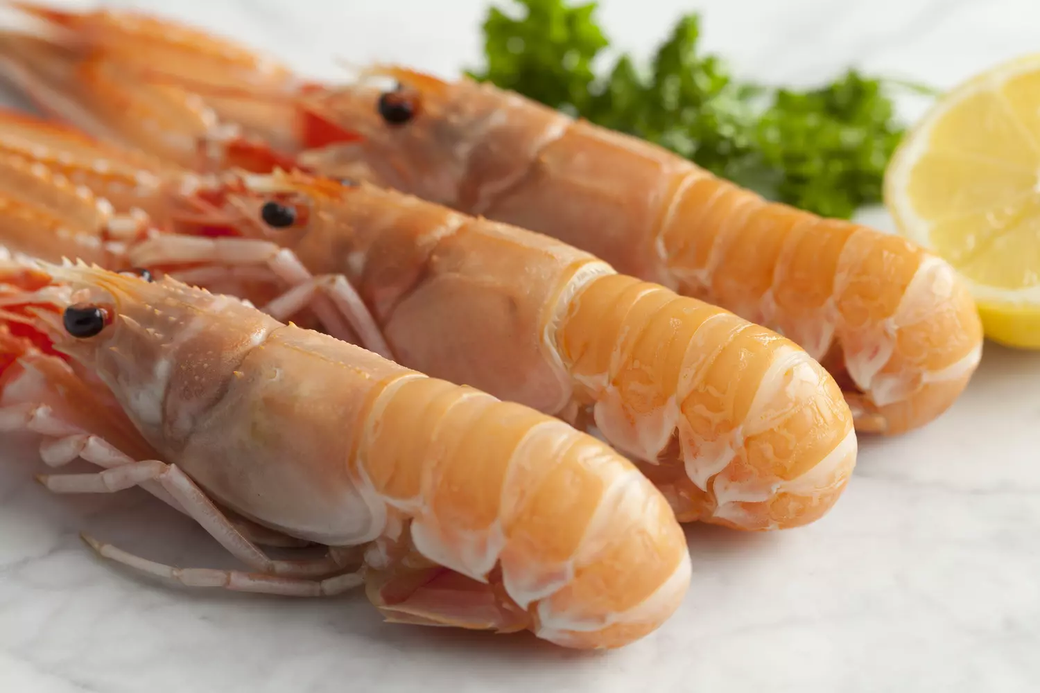 LANGOUSTINE CUITES 16/20
